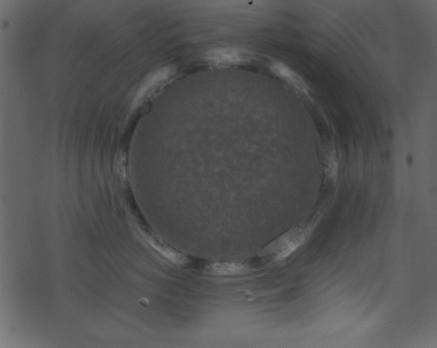 X0000071760766200606301130