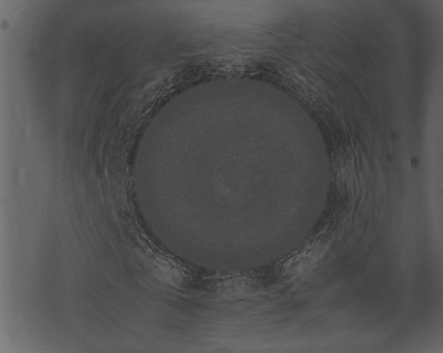 X0000071760769200606301129