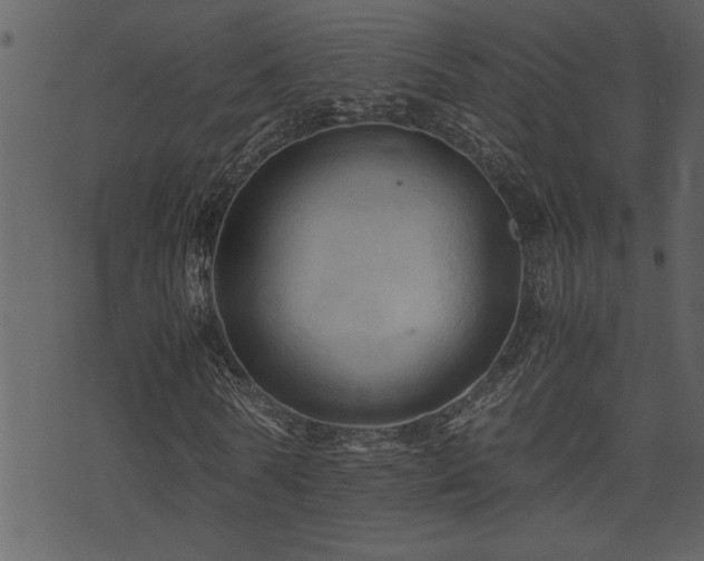 X0000071760770200606301129