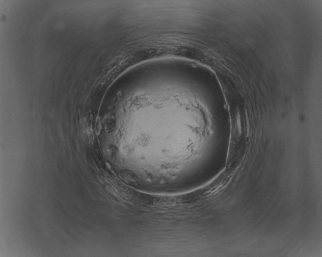 X0000071760771200606301129