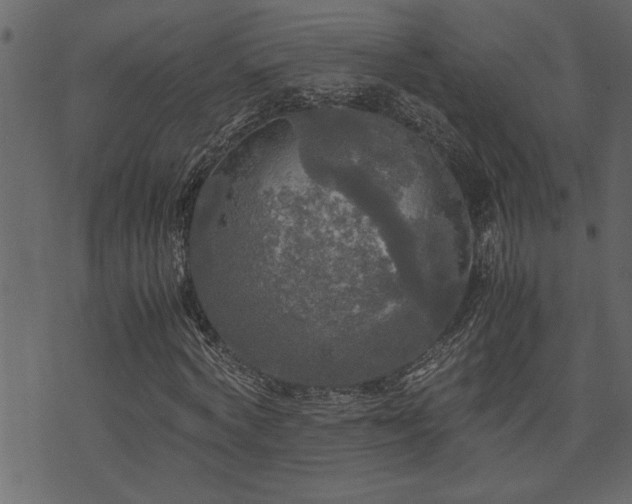 X0000071760772200606301129