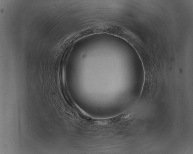 X0000071760773200606301129