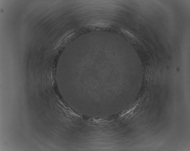 X0000071760774200606301129