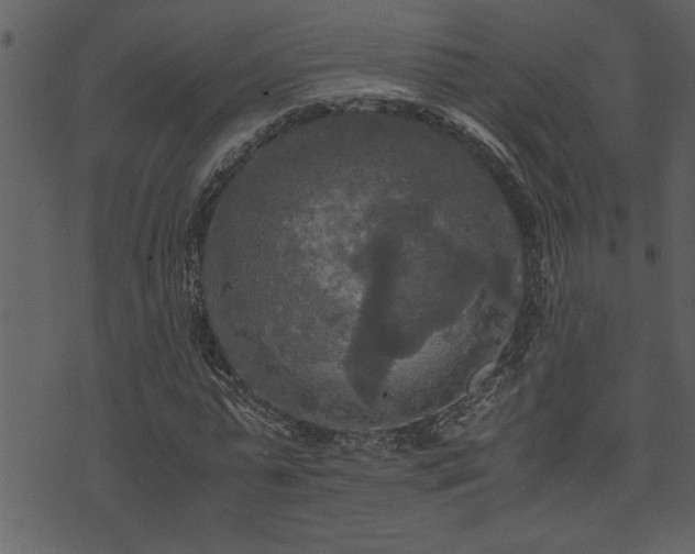 X0000071760775200606301129