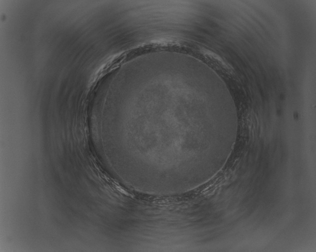 X0000071760776200606301129