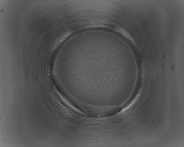 X0000071760777200606301129