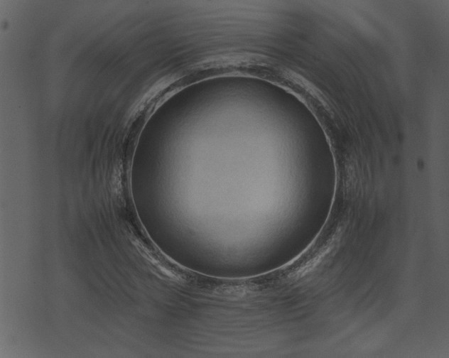 X0000071760778200606301129