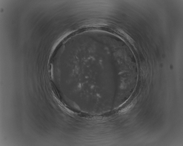 X0000071760779200606301129