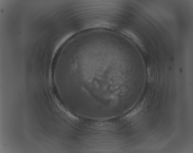 X0000071760780200606301129