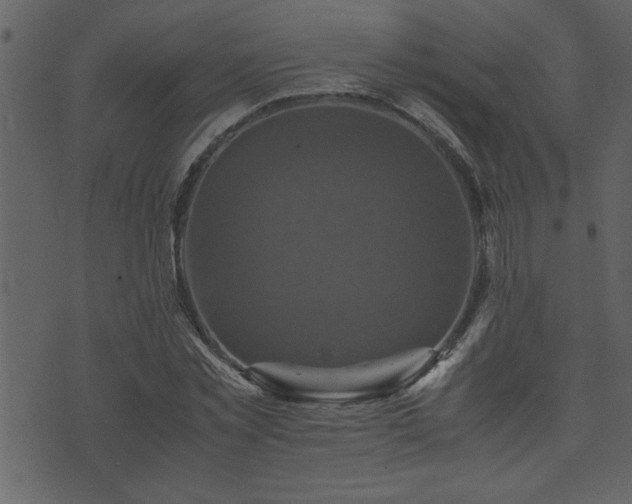 X0000071760781200606301129