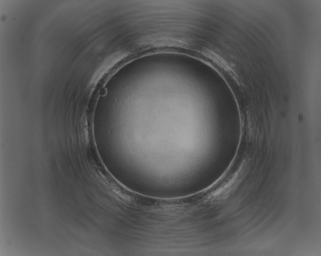 X0000071760782200606301129