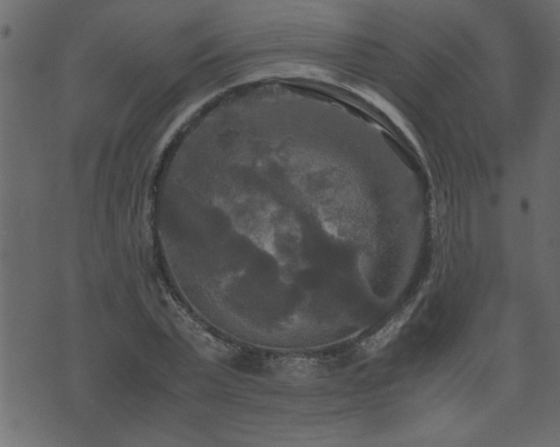 X0000071760783200606301129