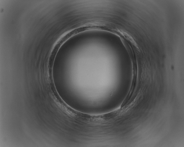 X0000071760784200606301129