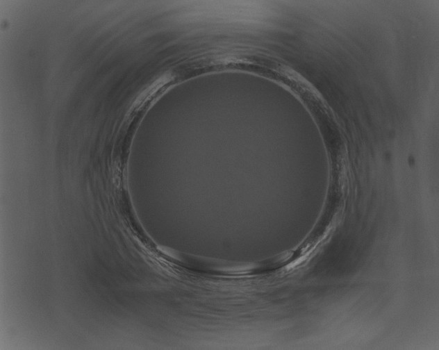 X0000071760785200606301129