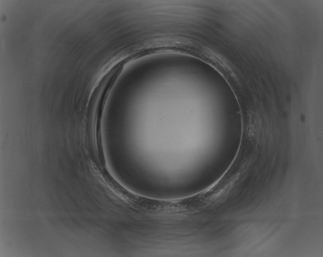 X0000071760786200606301129