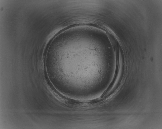 X0000071760787200606301129