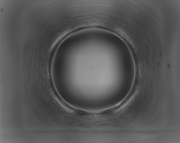 X0000071760789200606301129