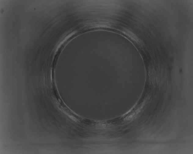 X0000071760790200606301129