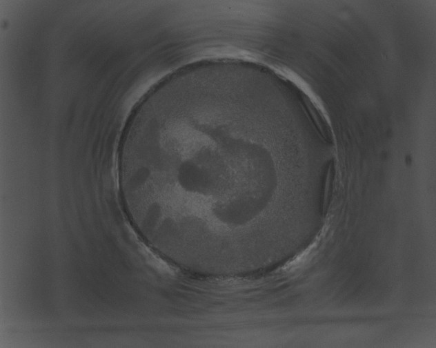 X0000071760791200606301129