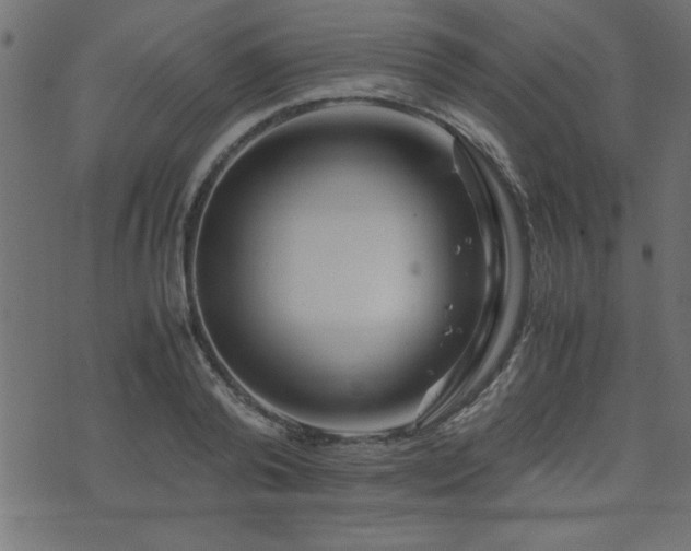 X0000071760792200606301129