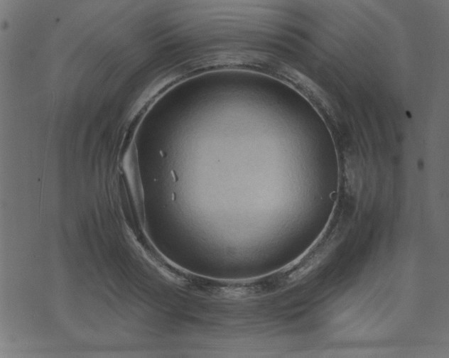 X0000071760794200606301129