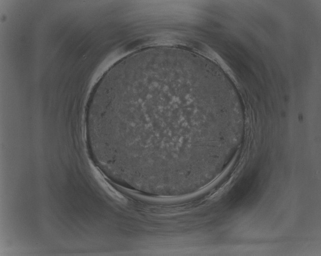 X0000071760795200606301129