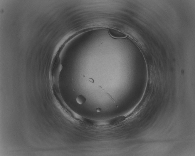 X0000071760796200606301129