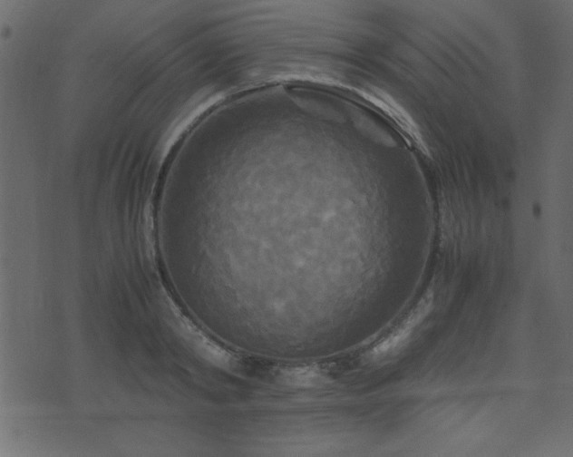 X0000071760798200606301129