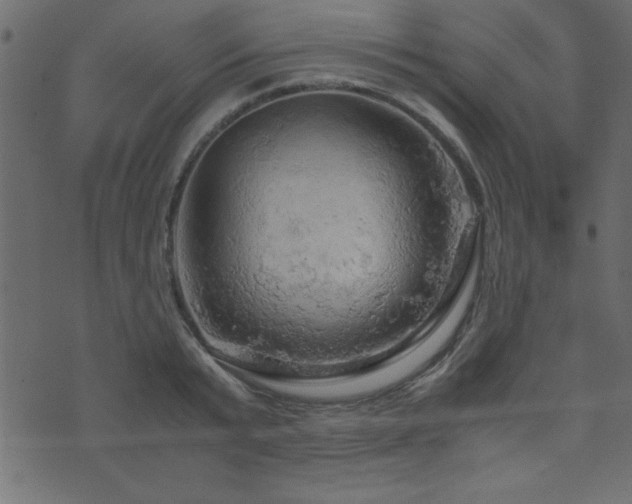 X0000071760799200606301129