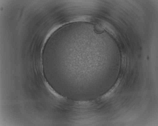 X0000071760800200606301129