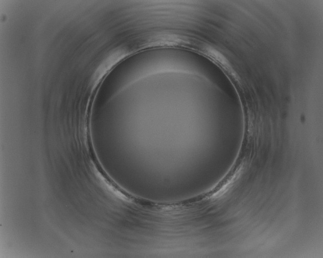 X0000071760802200606301129