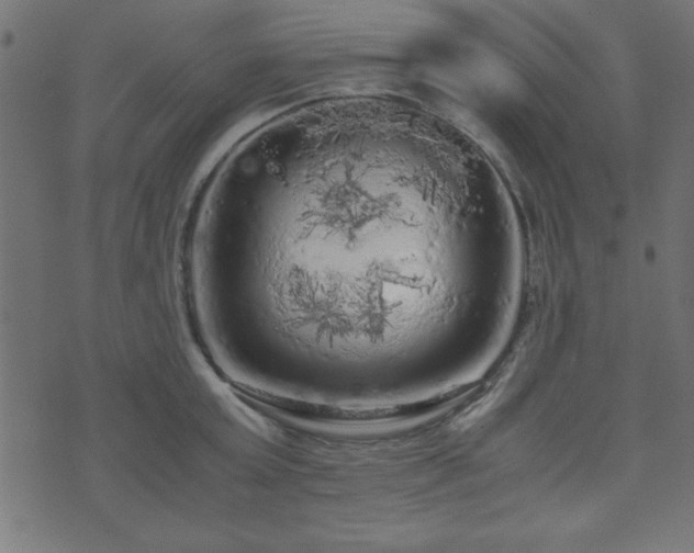 X0000071760803200606301129