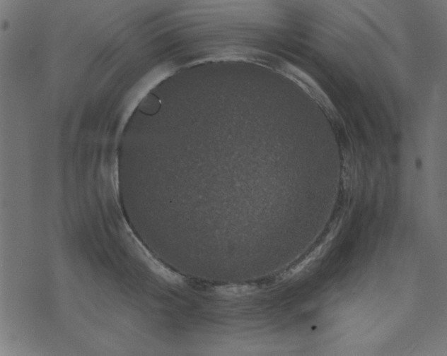 X0000071760804200606301129