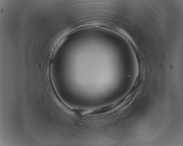 X0000071760805200606301129