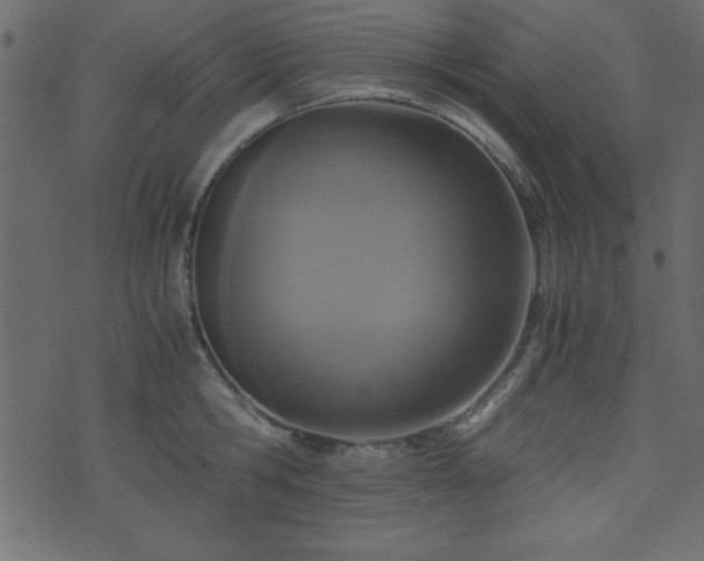 X0000071760806200606301129