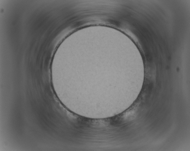 X0000071760807200606301129