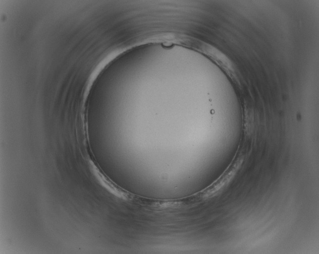 X0000071760808200606301129