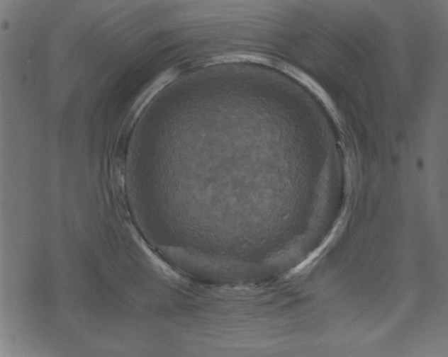 X0000071760809200606301129