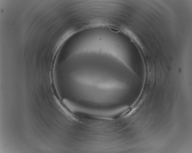 X0000071760810200606301129