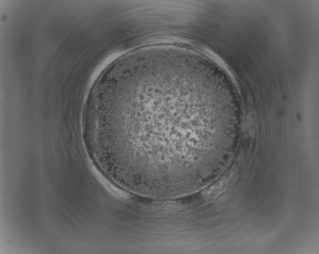 X0000071760811200606301129