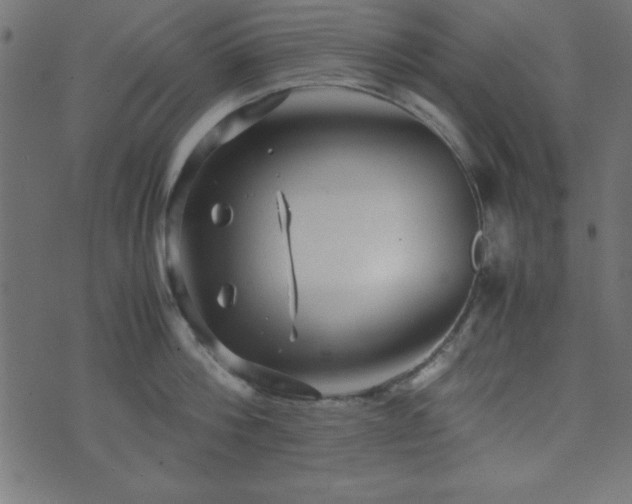 X0000071760812200606301129