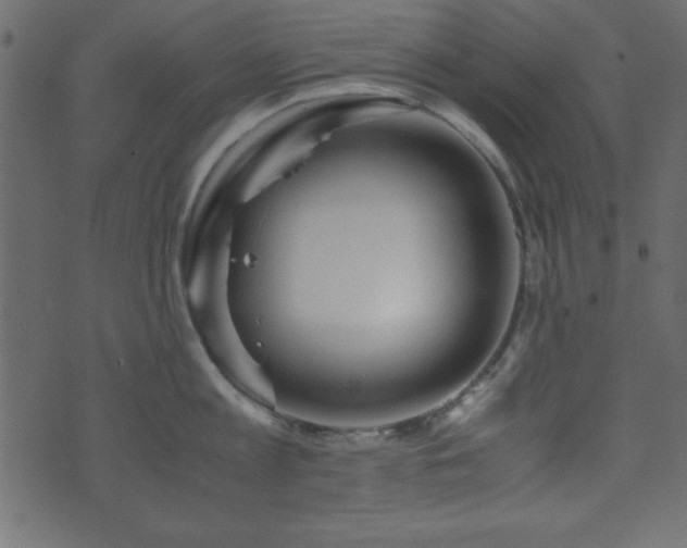 X0000071760813200606301129