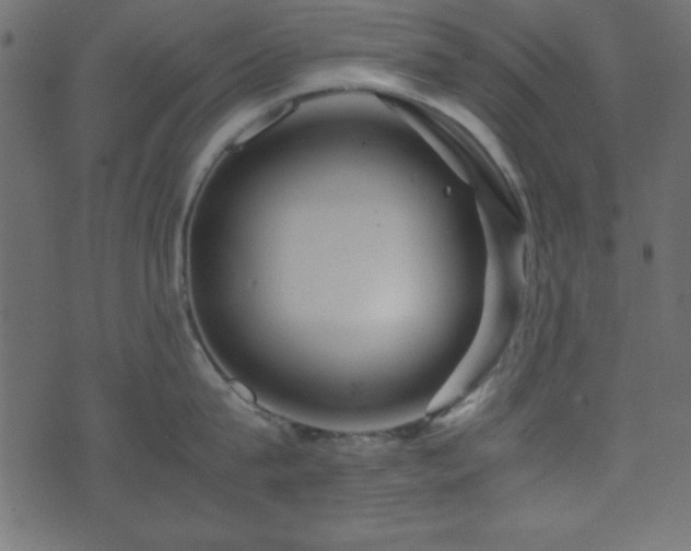 X0000071760815200606301129