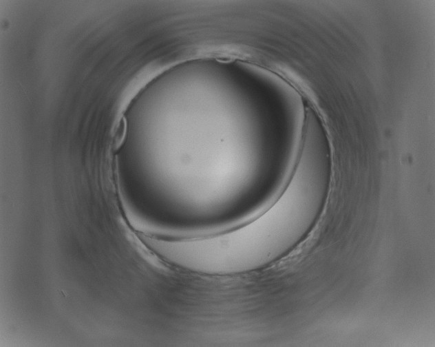 X0000071760816200606301129