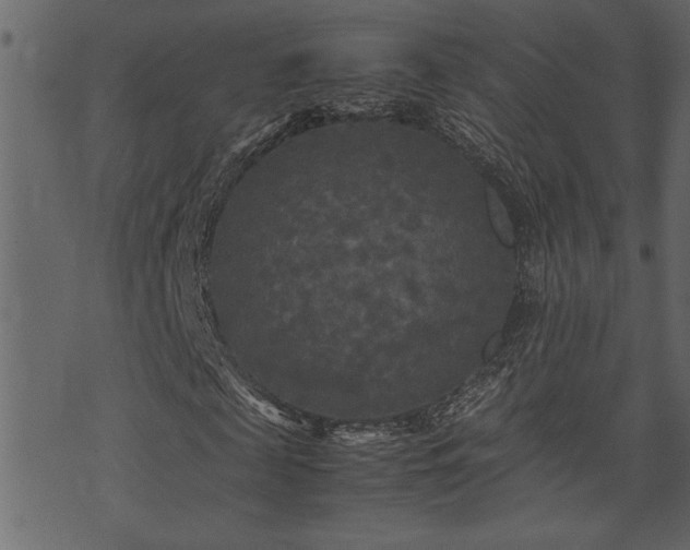 X0000071760817200606301128