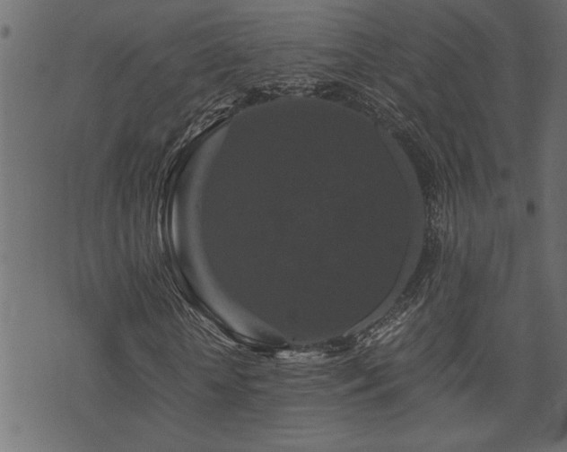 X0000071760818200606301128