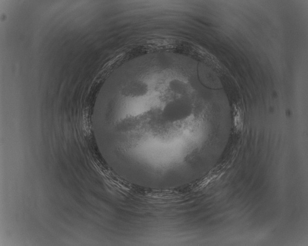 X0000071760819200606301128