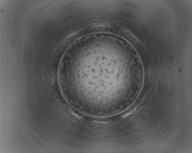 X0000071760821200606301128