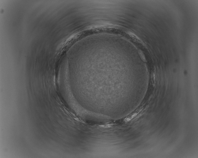 X0000071760822200606301128