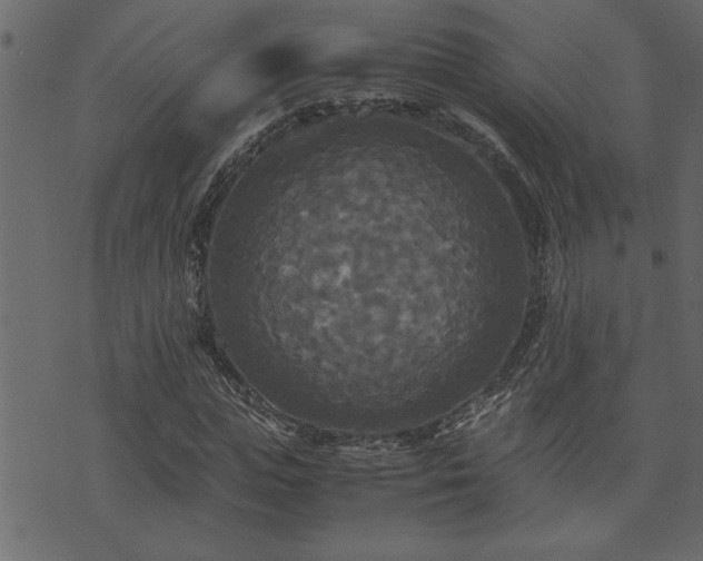 X0000071760823200606301128